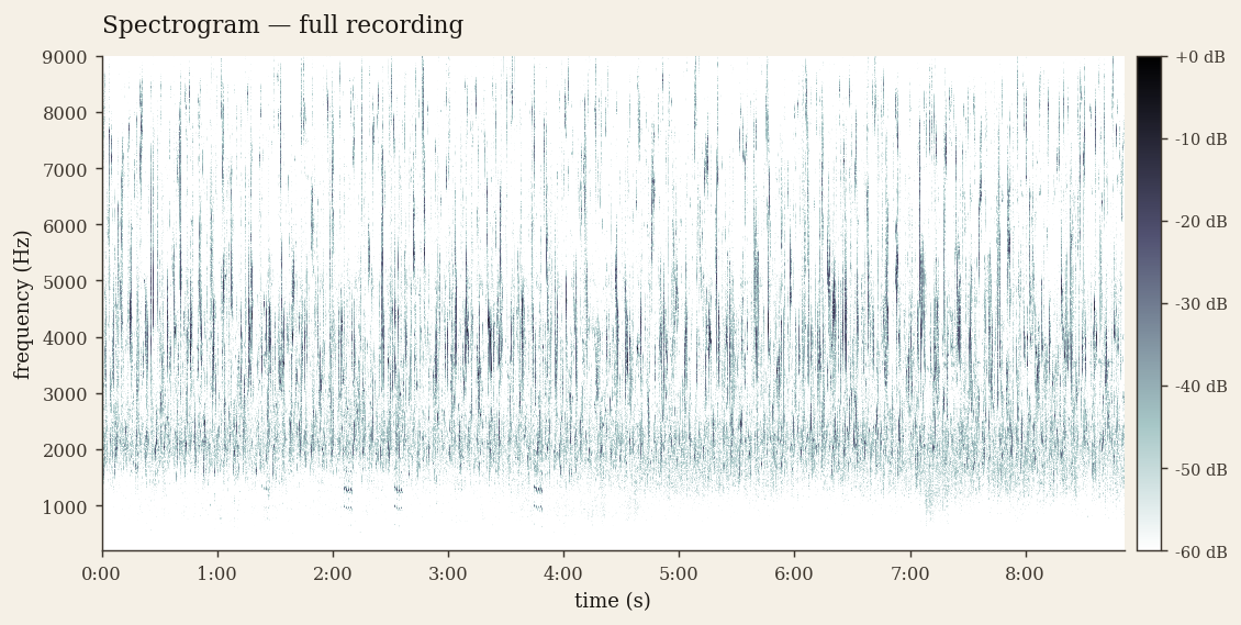Full time-frequency spectrogram of the reference dawn-chorus recording.