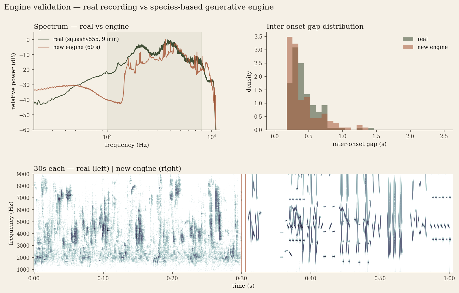 Four-panel comparison: onset density over time, inter-call gap distribution with log-normal fits, averaged spectrum across the bird band, and spectrograms of the first minute of each.